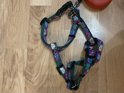 Поводок рулетка flexi и шлейка