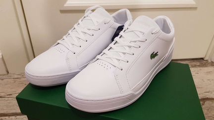 Новые кроссовки Lacoste