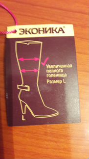 Зимние сапоги Эконика