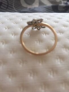 Золотое кольцо