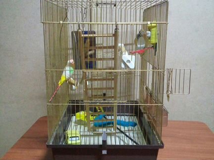 Клетка для попугая
