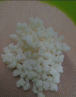 Кефирный Тибетский молочный гриб Ясенево