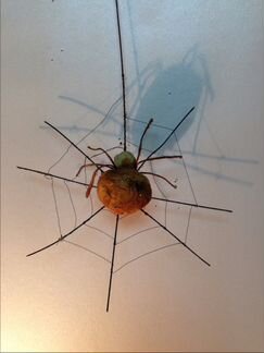 Елочные игрушки