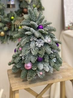 Елка из нобилиса