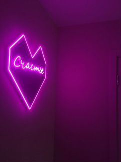 Интерьерная вывеска с гибким неоном